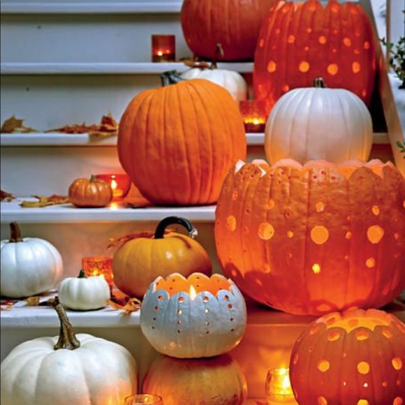 Meet your Posher, Vanessa - Picture 2 of 2